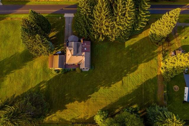 Washington Drain Field