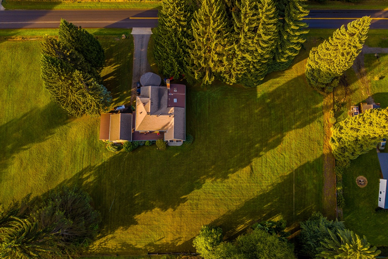 Washington Drain Field